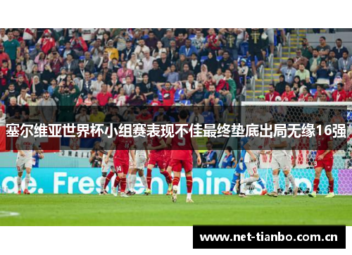 塞尔维亚世界杯小组赛表现不佳最终垫底出局无缘16强