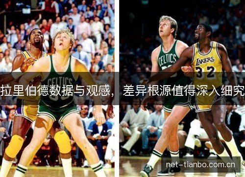 拉里伯德数据与观感，差异根源值得深入细究